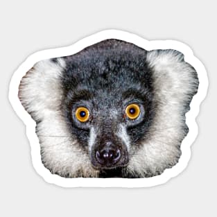 Black and White Lemur Sticker